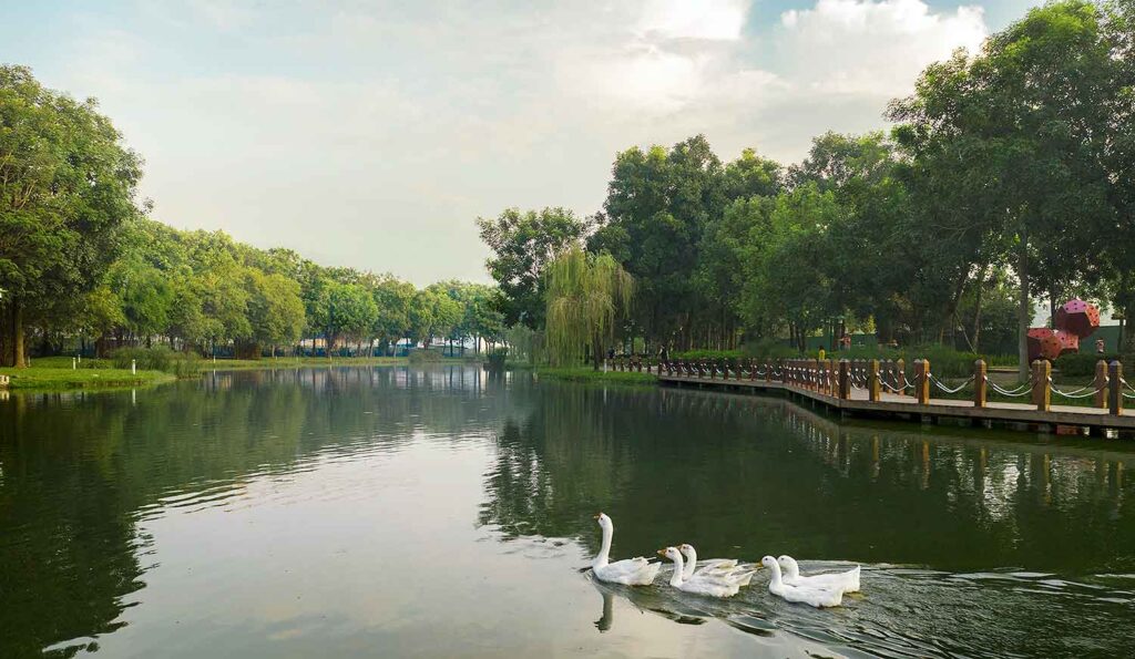 Celadon City - Green Lung