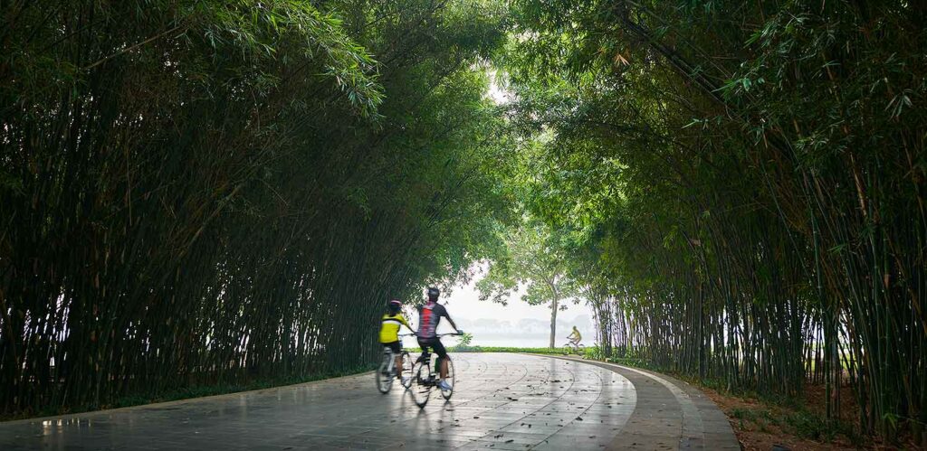 Rehabilitation of Yen So Park